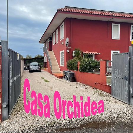 フィウミチーノCasa Orchideaアパートメント エクステリア 写真