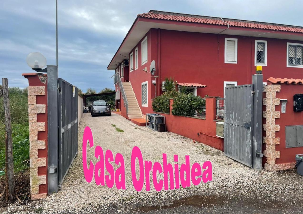 フィウミチーノCasa Orchideaアパートメント エクステリア 写真